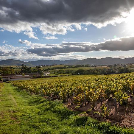 Les Glycines - Domaine Gilles Coperet Bed & Breakfast Régnié Dış mekan fotoğraf