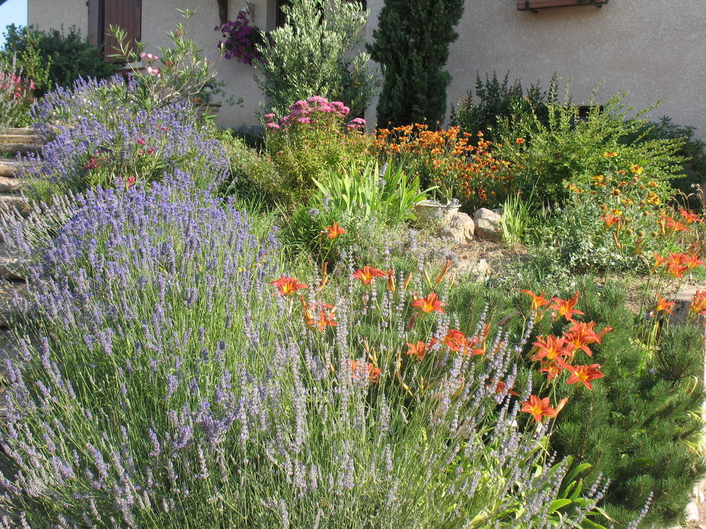 Les Glycines - Domaine Gilles Coperet Bed & Breakfast Régnié Dış mekan fotoğraf